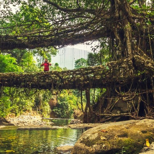 Meghalaya-header